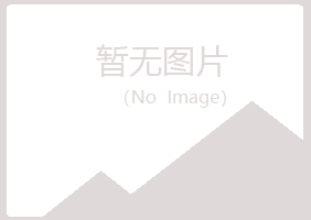 山东夏岚能源有限公司